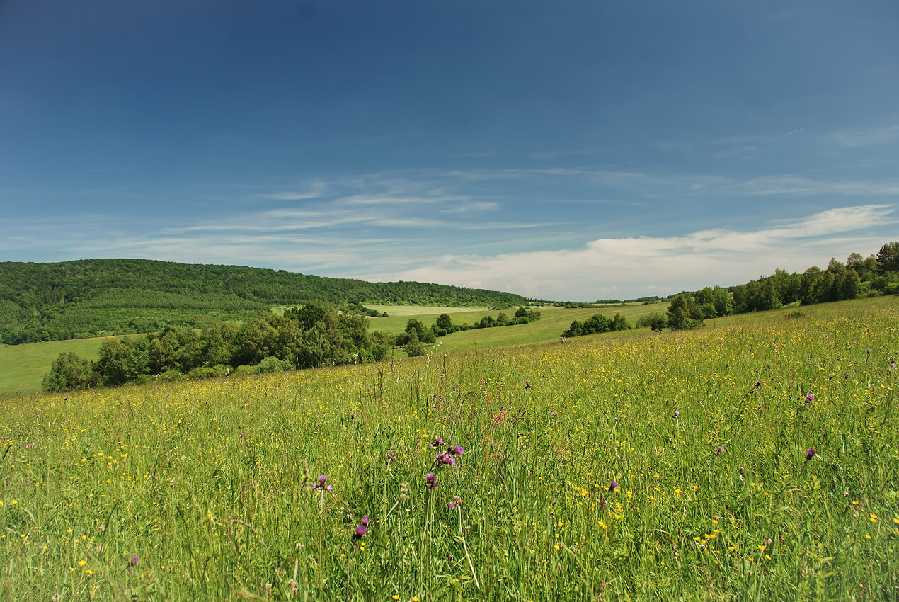 Rowerem wokół Babiej Góry (387 m)