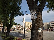 Początek szlaku w Beskidzie Niskim