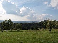Zielona łąka na Pogórzu Karpackim