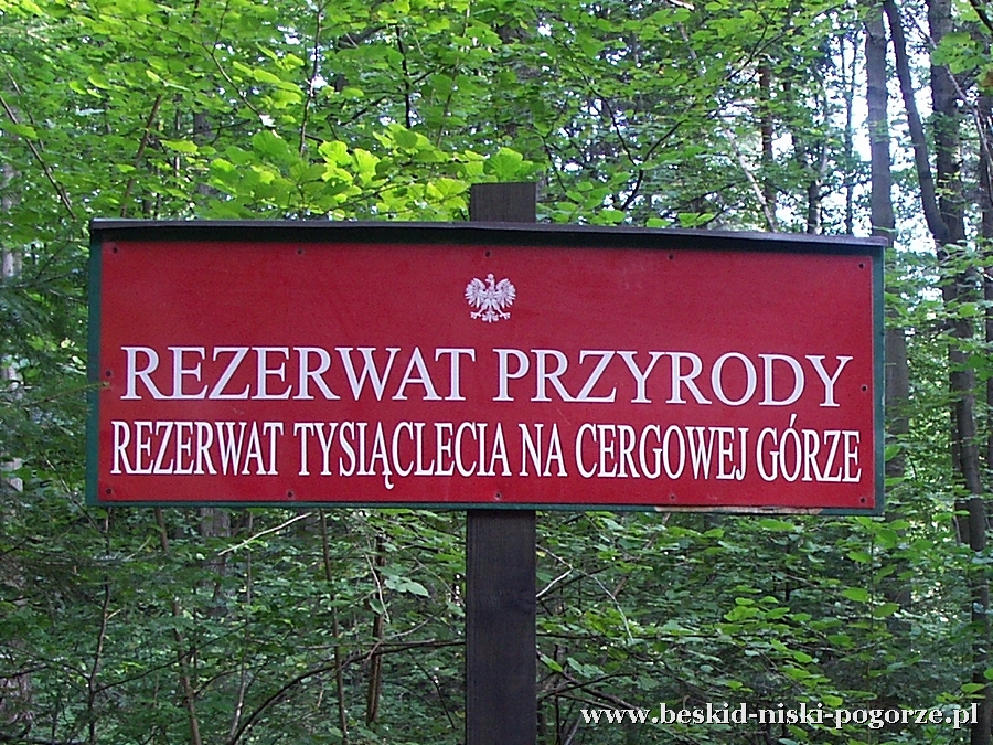 Rezerwaty przyrody w Beskidzie Niskim i na Pogórzu Karpackim