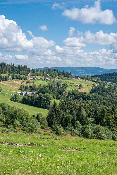 Szlaki tematyczne